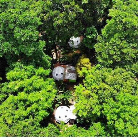 Faith Glamping Dome Costa Rica Otel Manzanillo  Dış mekan fotoğraf