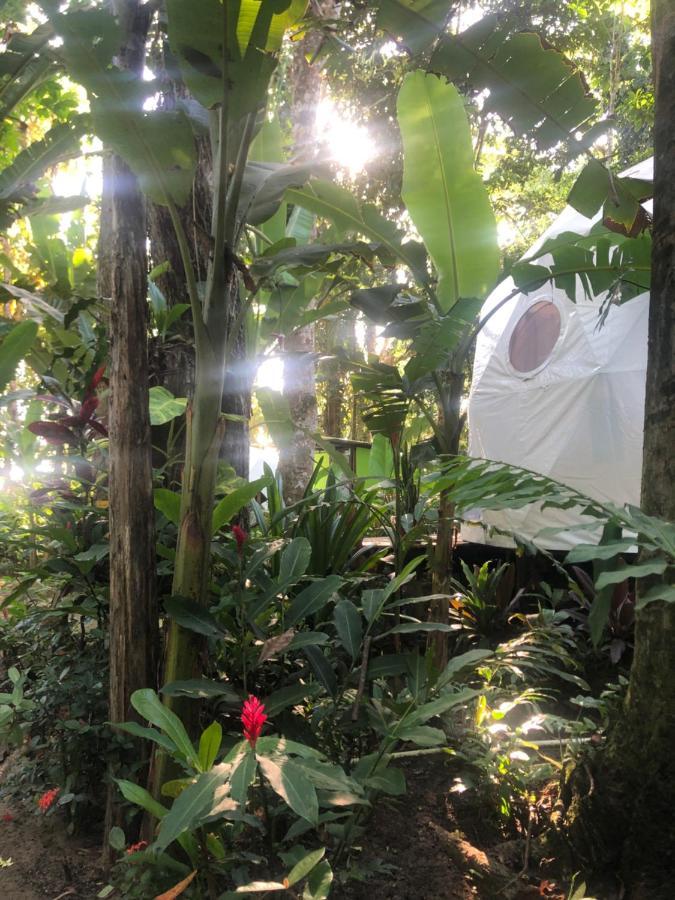 Faith Glamping Dome Costa Rica Otel Manzanillo  Dış mekan fotoğraf
