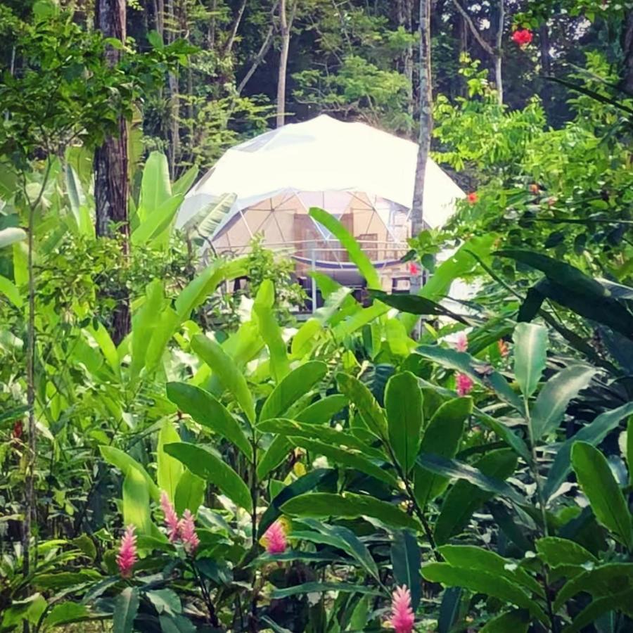 Faith Glamping Dome Costa Rica Otel Manzanillo  Dış mekan fotoğraf