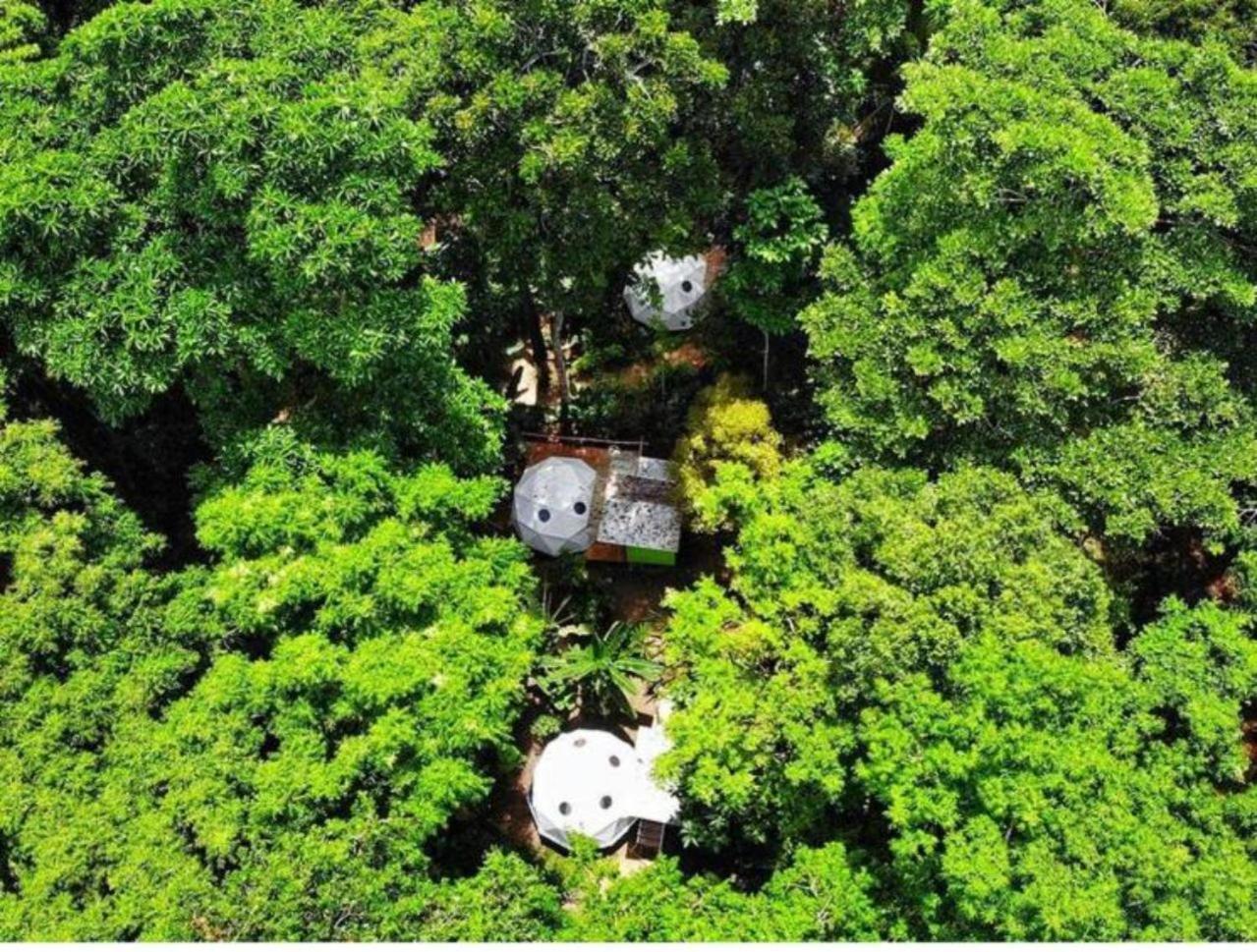 Faith Glamping Dome Costa Rica Otel Manzanillo  Dış mekan fotoğraf